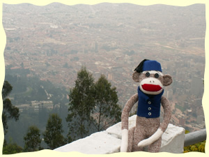 Sock Monkey Fun! Monkeys in the Wild